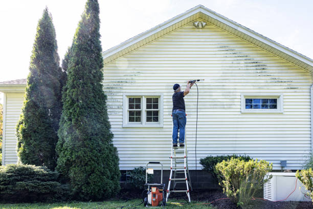 Trusted Murillo, TX Pressure Washing Experts